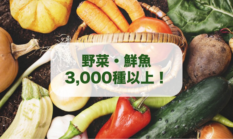 野菜・鮮魚3,000種以上！