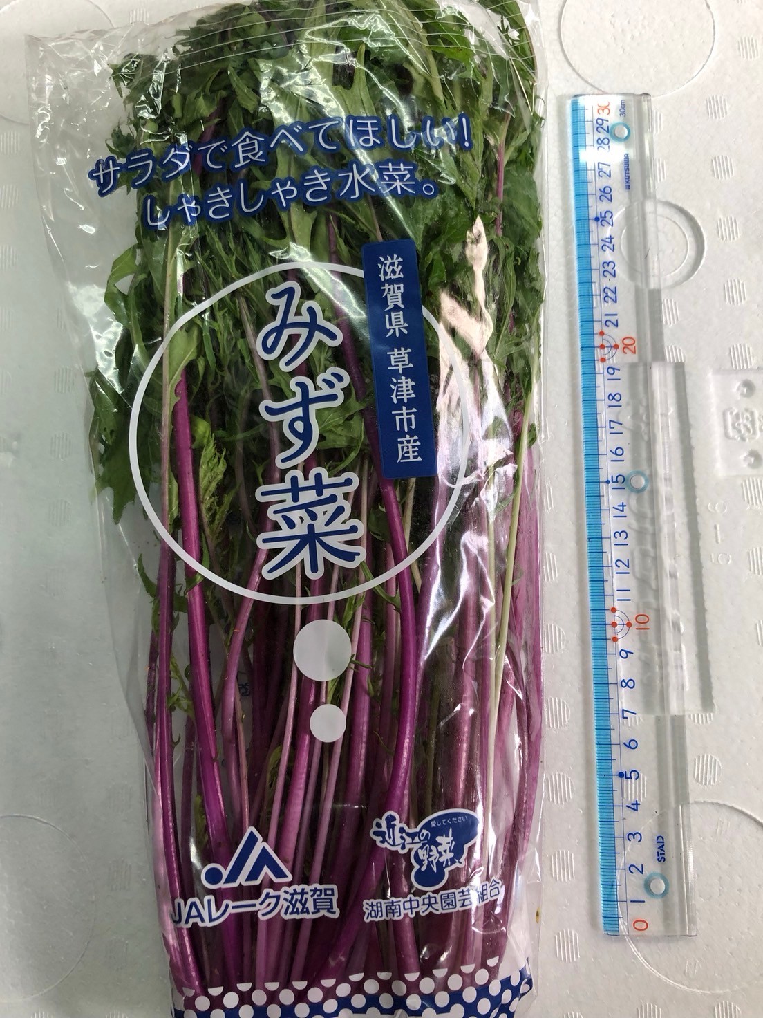 赤軸水菜