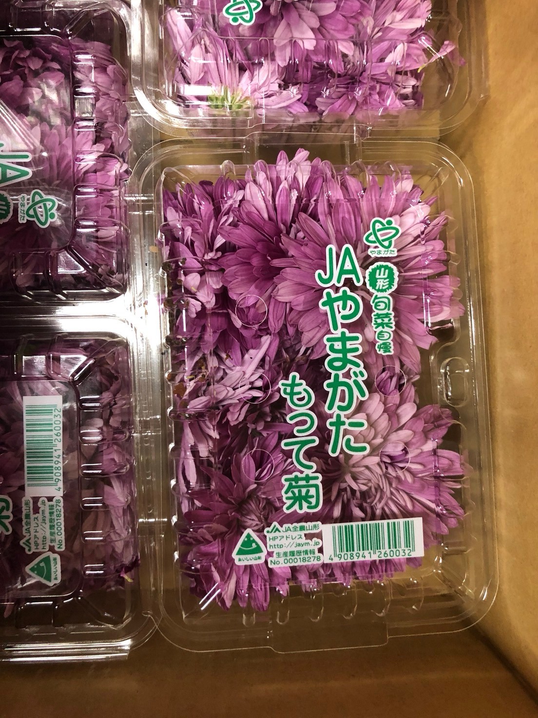 食用菊　赤紫